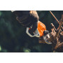 STIHL ASA 130 + AP 300 S + AL 301 - 3899 zł | sekatory.eu
