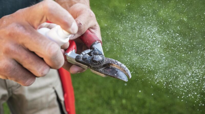 Jak czyścić i dezynfekować sekator? Praktyczny poradnik