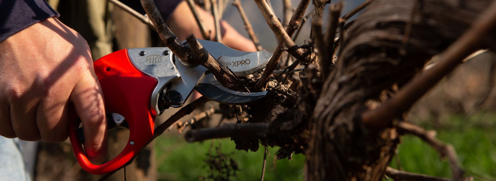 Sekatory akumulatorowe Felco